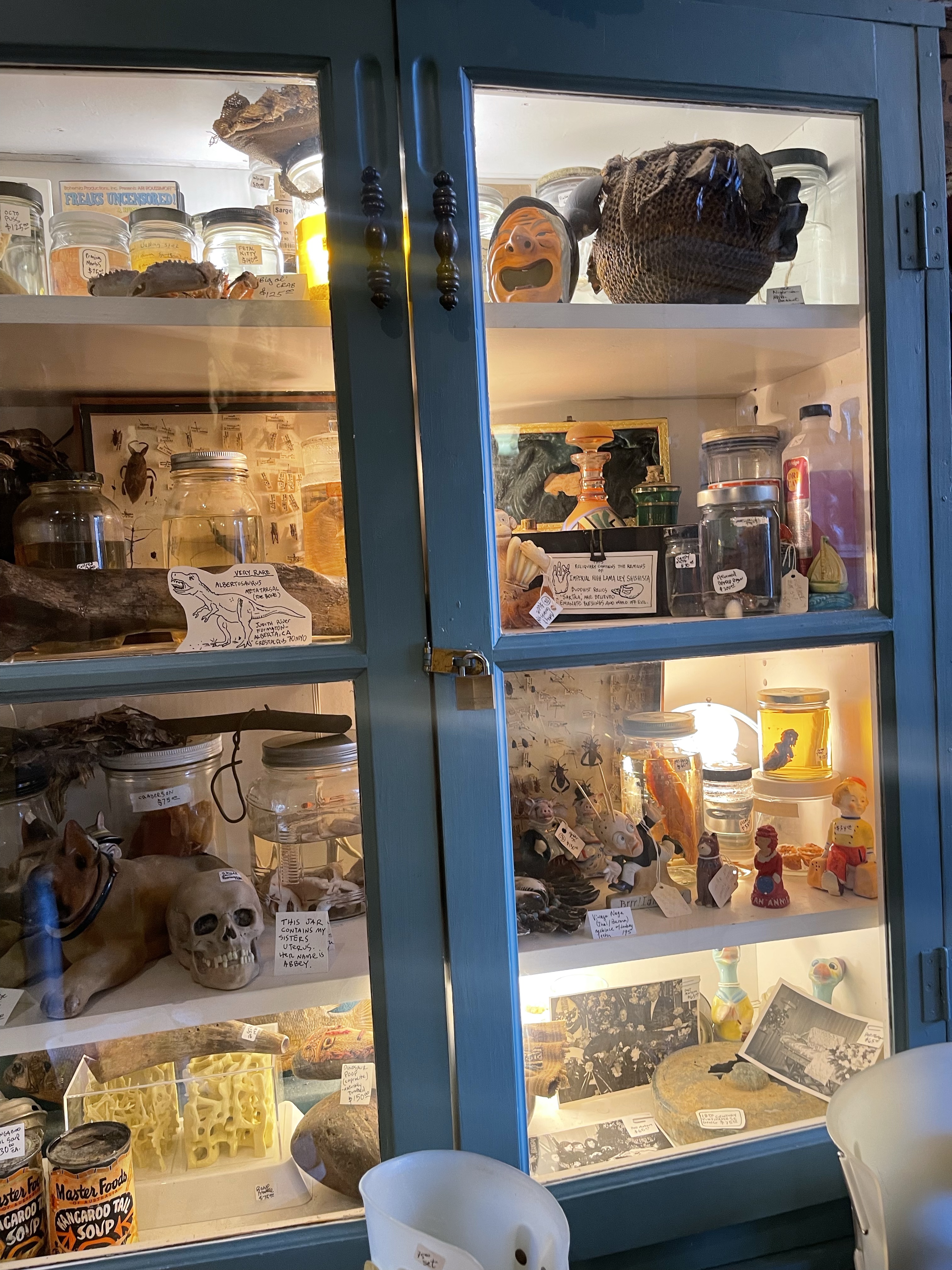 The 6 Best Antique Stores In Chicago - A Nature Escape